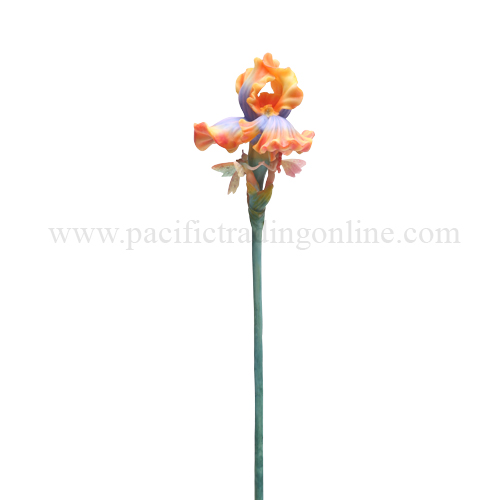 8969 Iris Flitty
